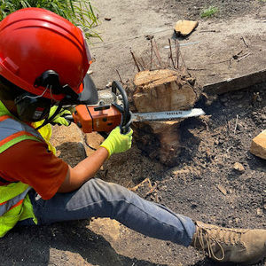 Meet your Posher, Carlos green